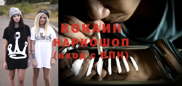 гидропоника Карталы