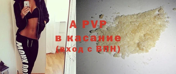 стафф Кодинск