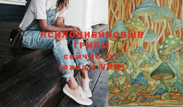 каннабис Яровое
