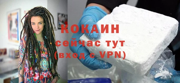 стафф Кодинск